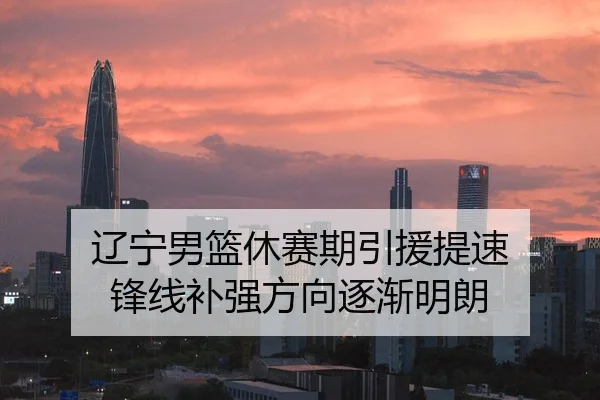 辽宁男篮休赛期引援提速 锋线补强方向逐渐明朗